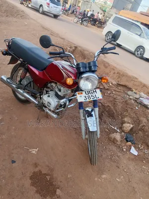 Bajaj Boxer 100 2024 Red