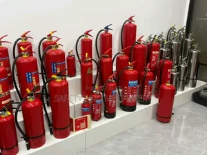Fire Extinguisher 6kgs