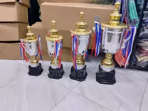 Set Of Silver And Gold Trophy Cups
