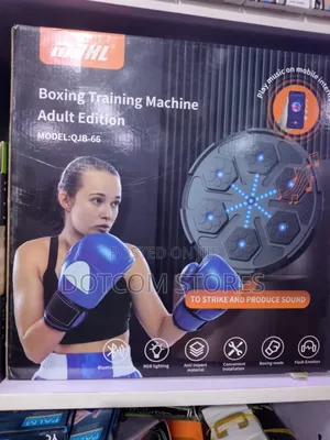Wall-Mounted Electronic Boxing Training Machine