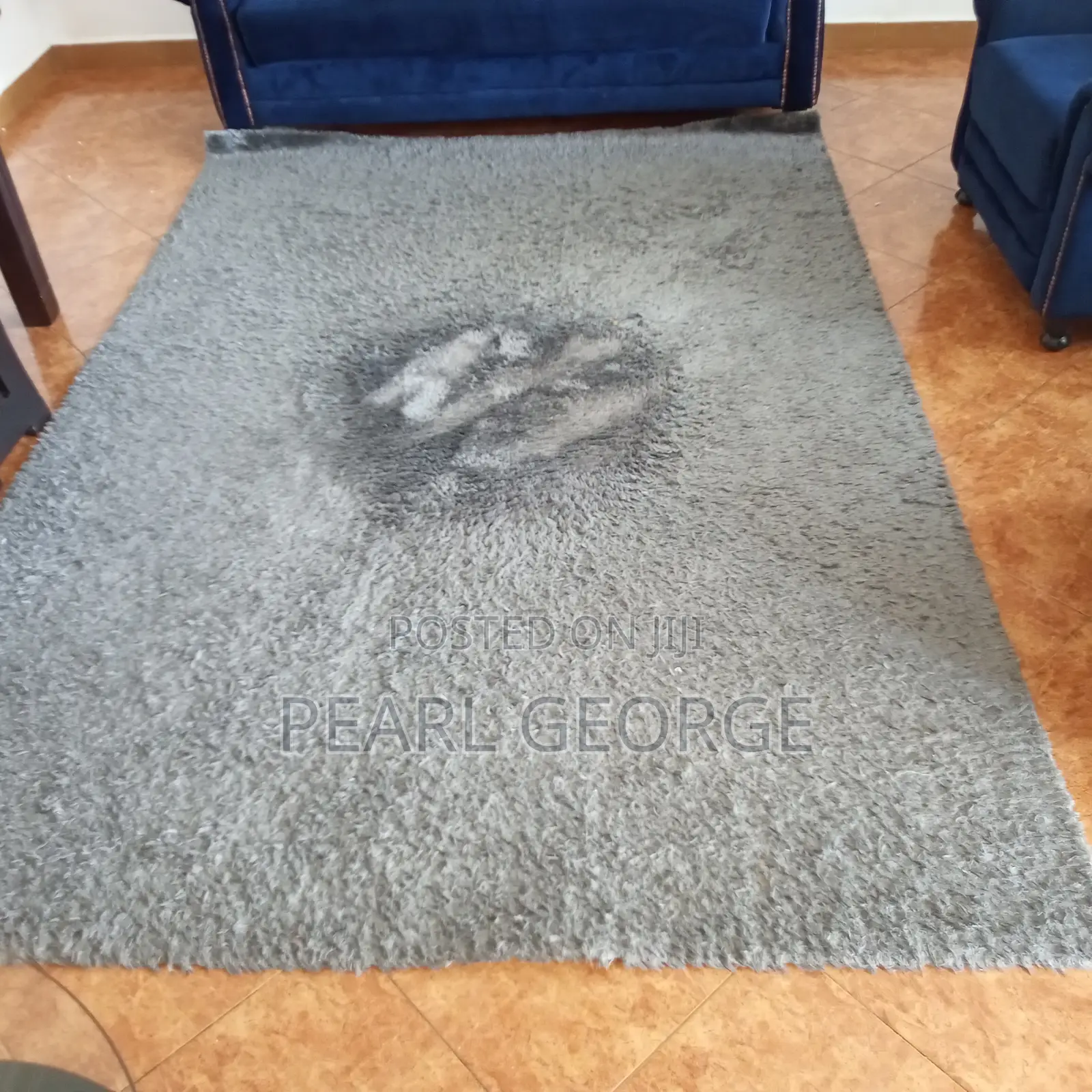 Carpet Rugs Neatly Used. Gray Colour