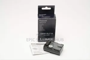 Panasonic Lumix DMW-Blf19 Battery