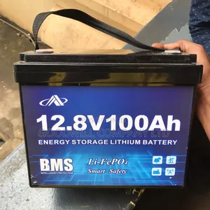 100ah 12v BMS Lithium Battery