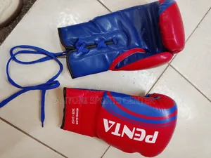 Penta Boxing Gloves