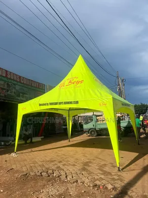 (11x11)Fts Well Branded Exhibition Tents