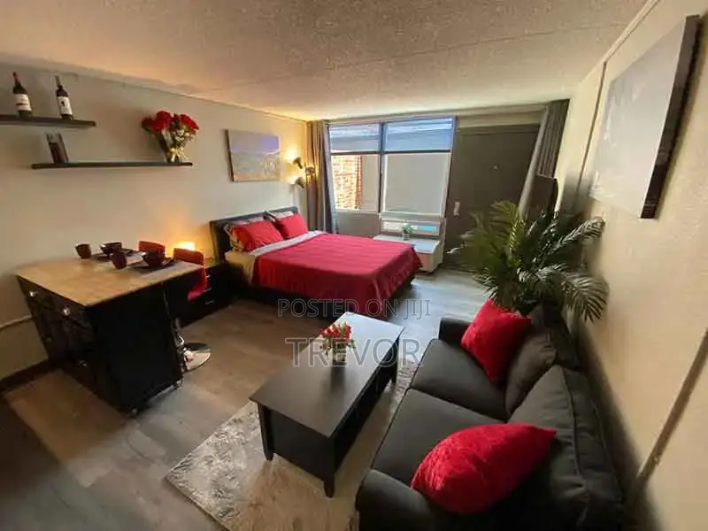 Executive Furnished Studio Apartments Available In Kampala