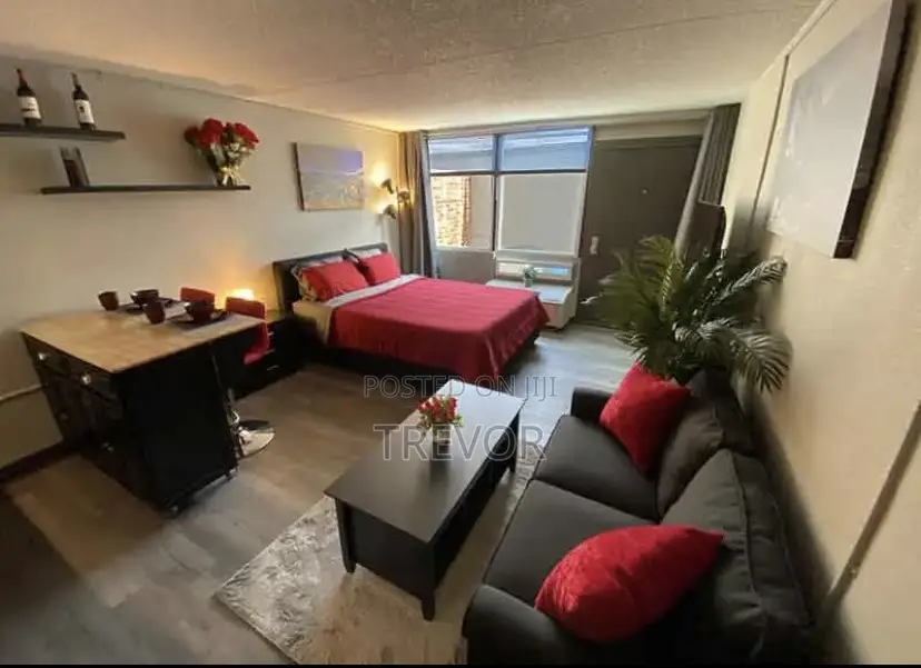 Executive Furnished Studio Apartments Available In Kampala