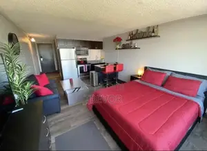 Executive Furnished Studio Apartments Available In Kampala