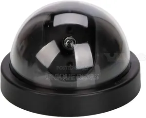 Indoor Outdoor Fake Dummy Security Camera