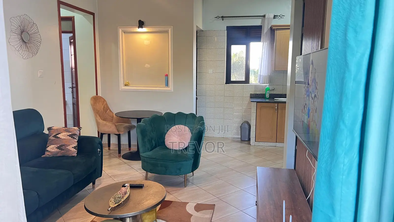 Executive Furnished Two Bedroom Apartment in Kampala
