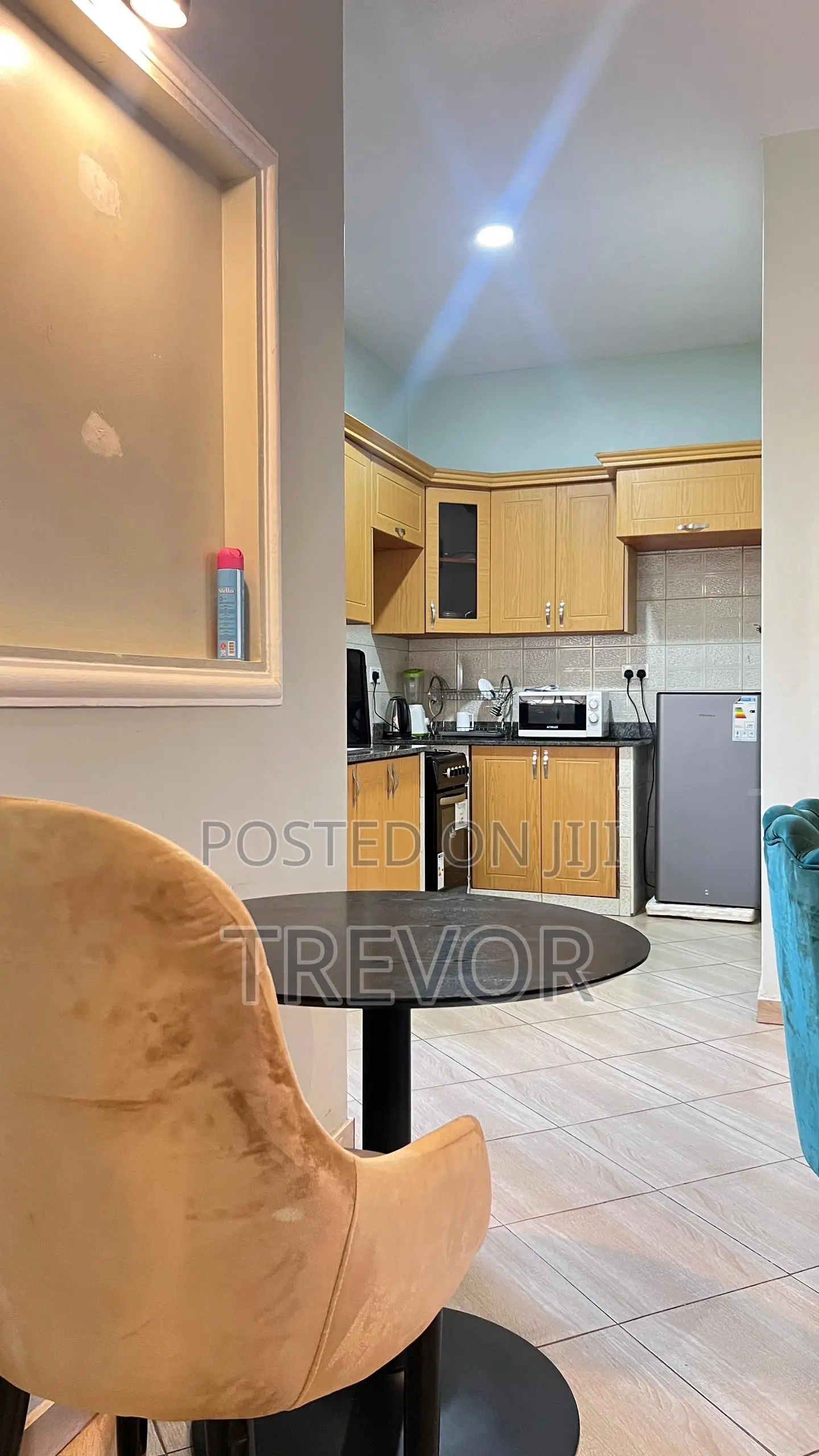 Executive Furnished Two Bedroom Apartment in Kampala