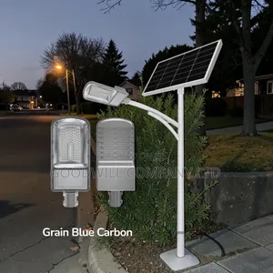 500w Blue Carbon Grain Solar Street Light