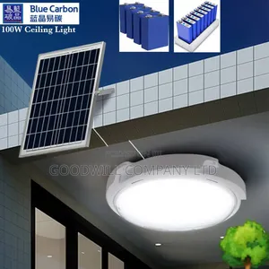 Blue Carbon Solar Ceiling Light
