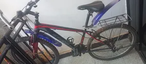 Mount Bicycle