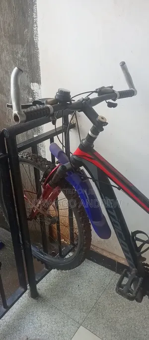 Mount Bicycle