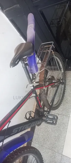 Mount Bicycle