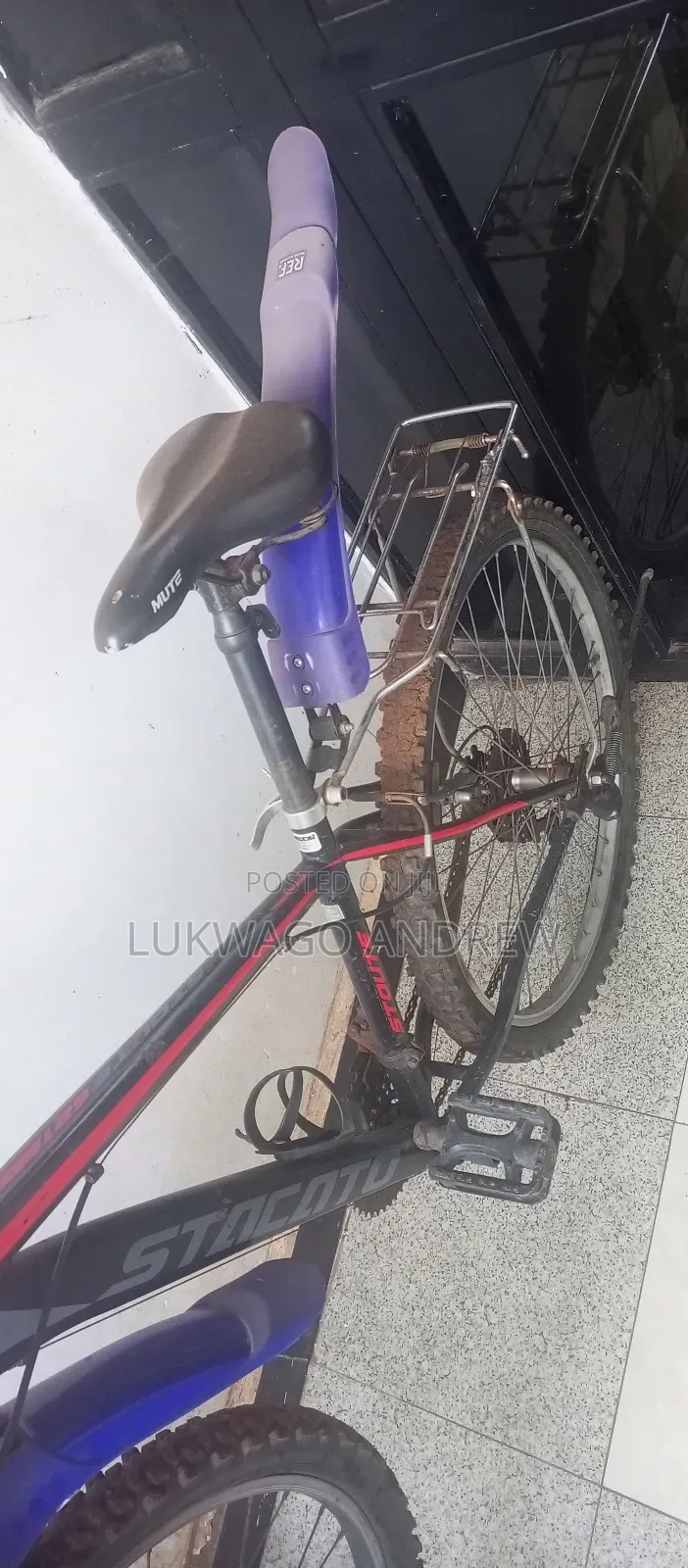Mount Bicycle