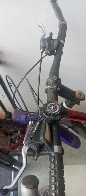 Mount Bicycle