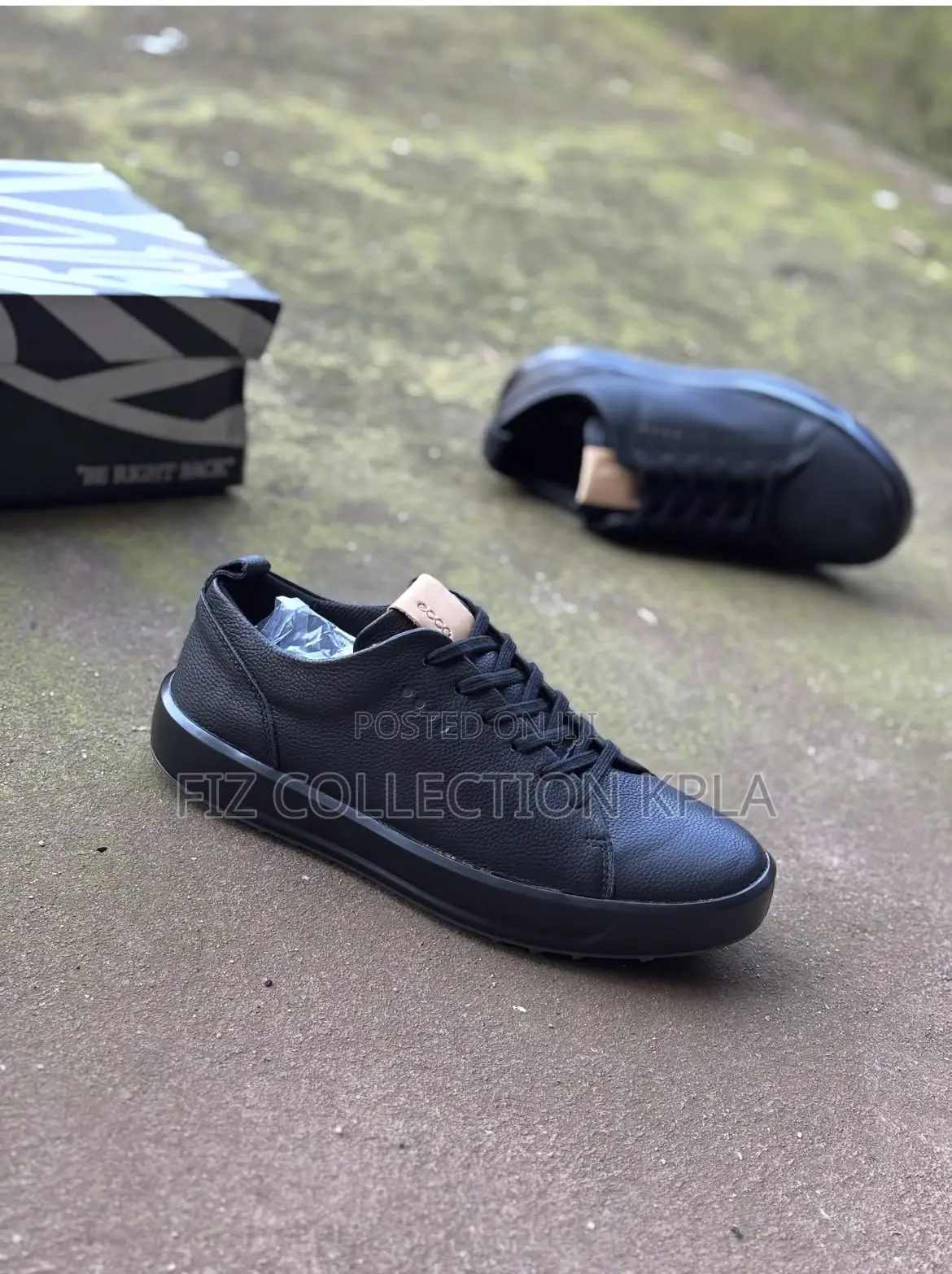 Ecco Black