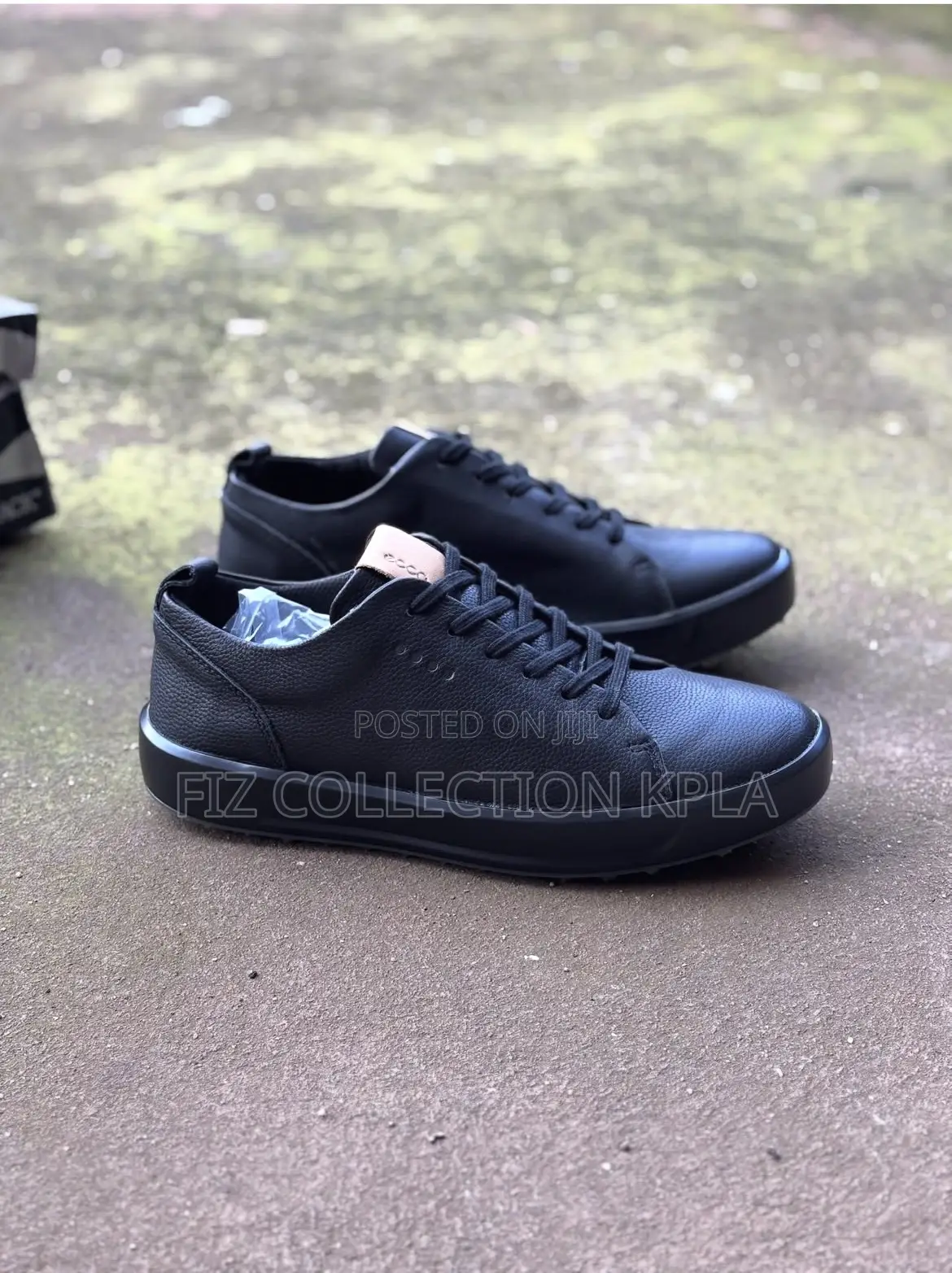 Ecco Black