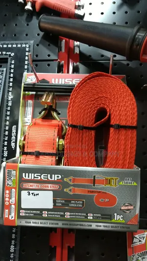 3ton Industrial Ratchet Tie-Down Strap/Lashing Straps/Cargo Belt. 10m