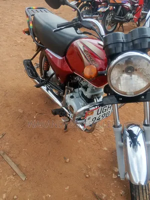 Bajaj Boxer 100 2024 Red
