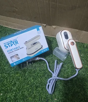 Mini Electric Steam Iron