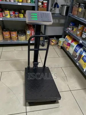 New Platform Digital Weighing Scale Weigh Grey Digital Weighing Scale