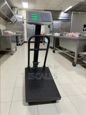 Weigh Restaurant Digital Weighing Scale Chicken Digital Weighing Scale