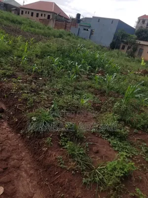 Land Plots 1/2 Hectare