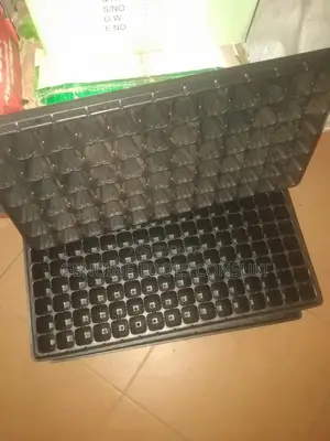 Seedling Trays