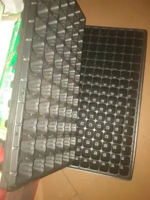 Seedling Trays