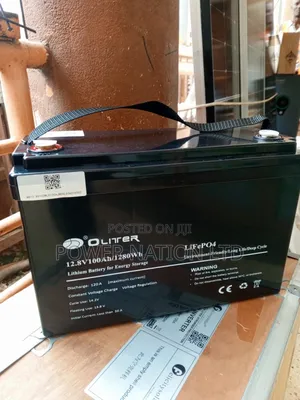 100ah 12.8v Oliter Lithium Iron Phosphate Battery