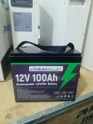 100ah 12.8v Lithiumvalley Lithium Iron Phosphate Battery