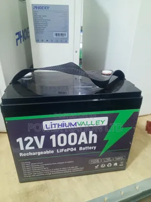 100ah 12.8v Lithiumvalley Lithium Iron Phosphate Battery