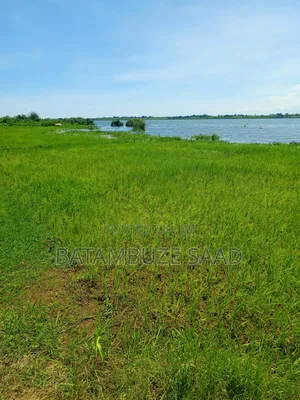 20 Acres 0f Farm Land on the Shores of Lake Victoria