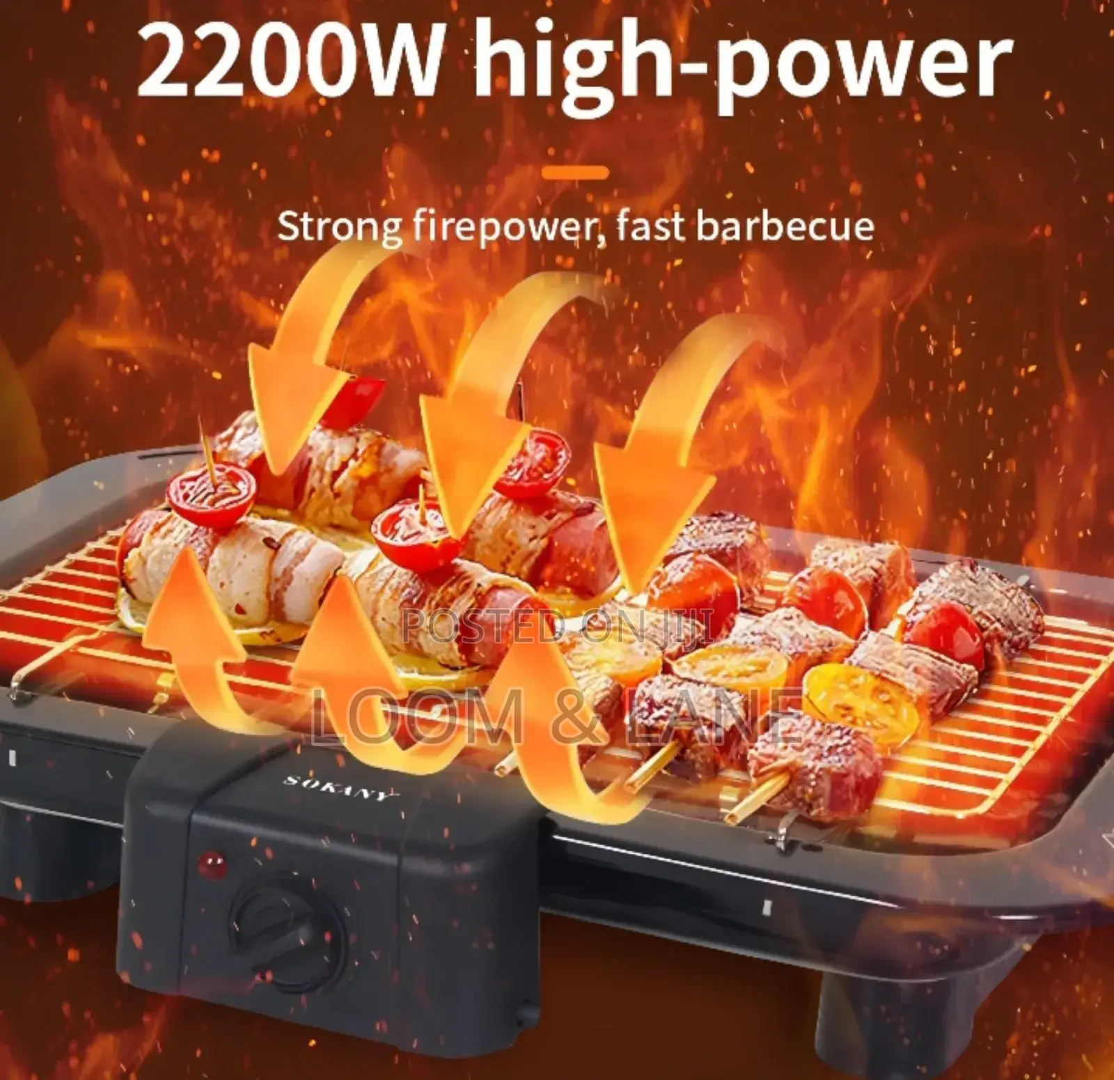 Sokany Electric Barbecue Grill