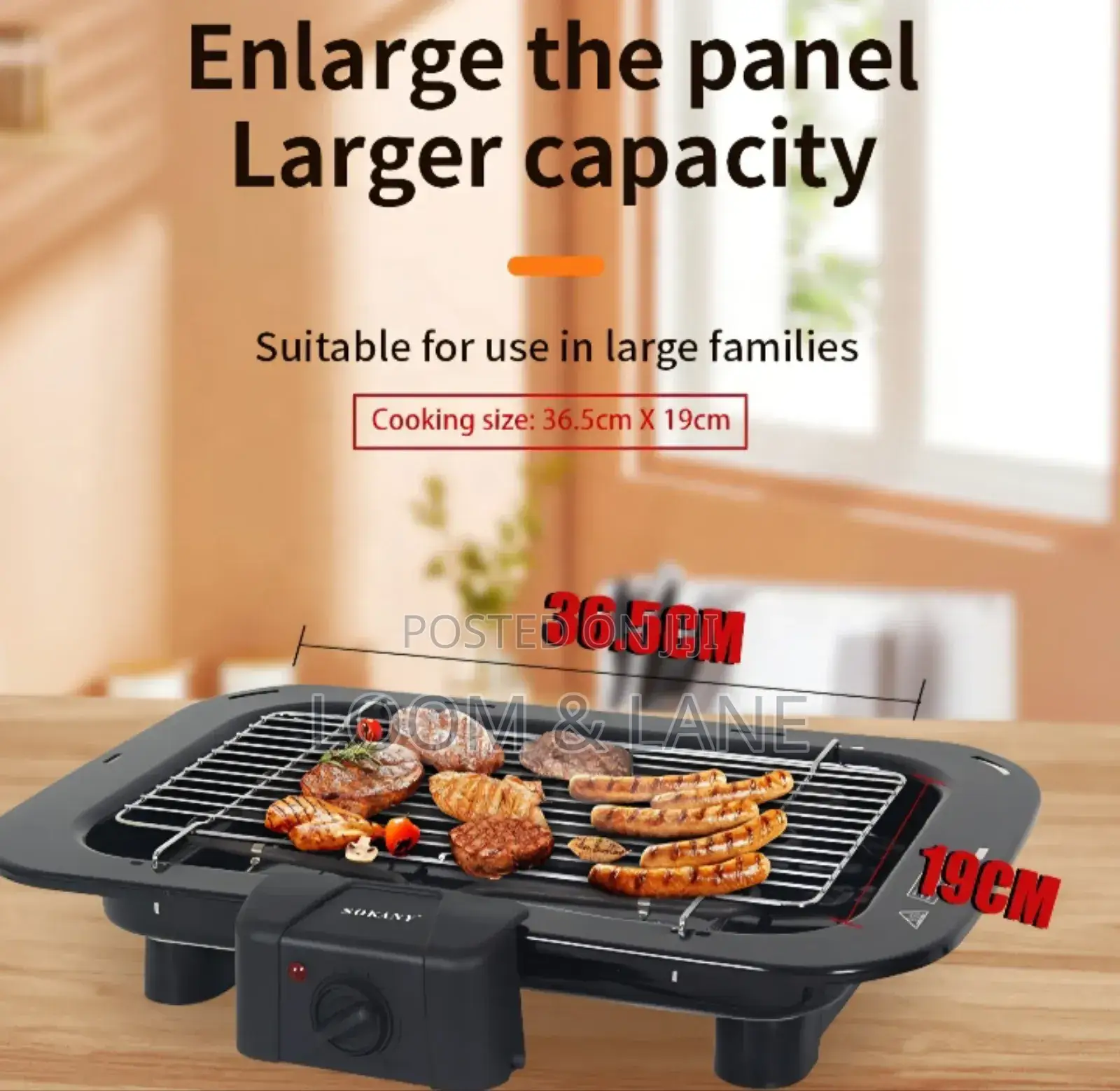 Sokany Electric Barbecue Grill