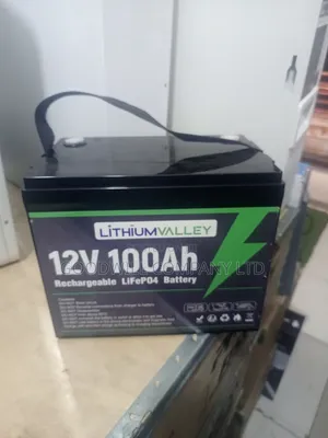 100ah 12.8v Lithium Valley Lithium Iron Phosphate Battery