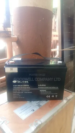 100ah 12v Oliter Lithium Battery