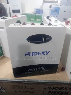 5kwh 48v Phoeky Lithium Battery