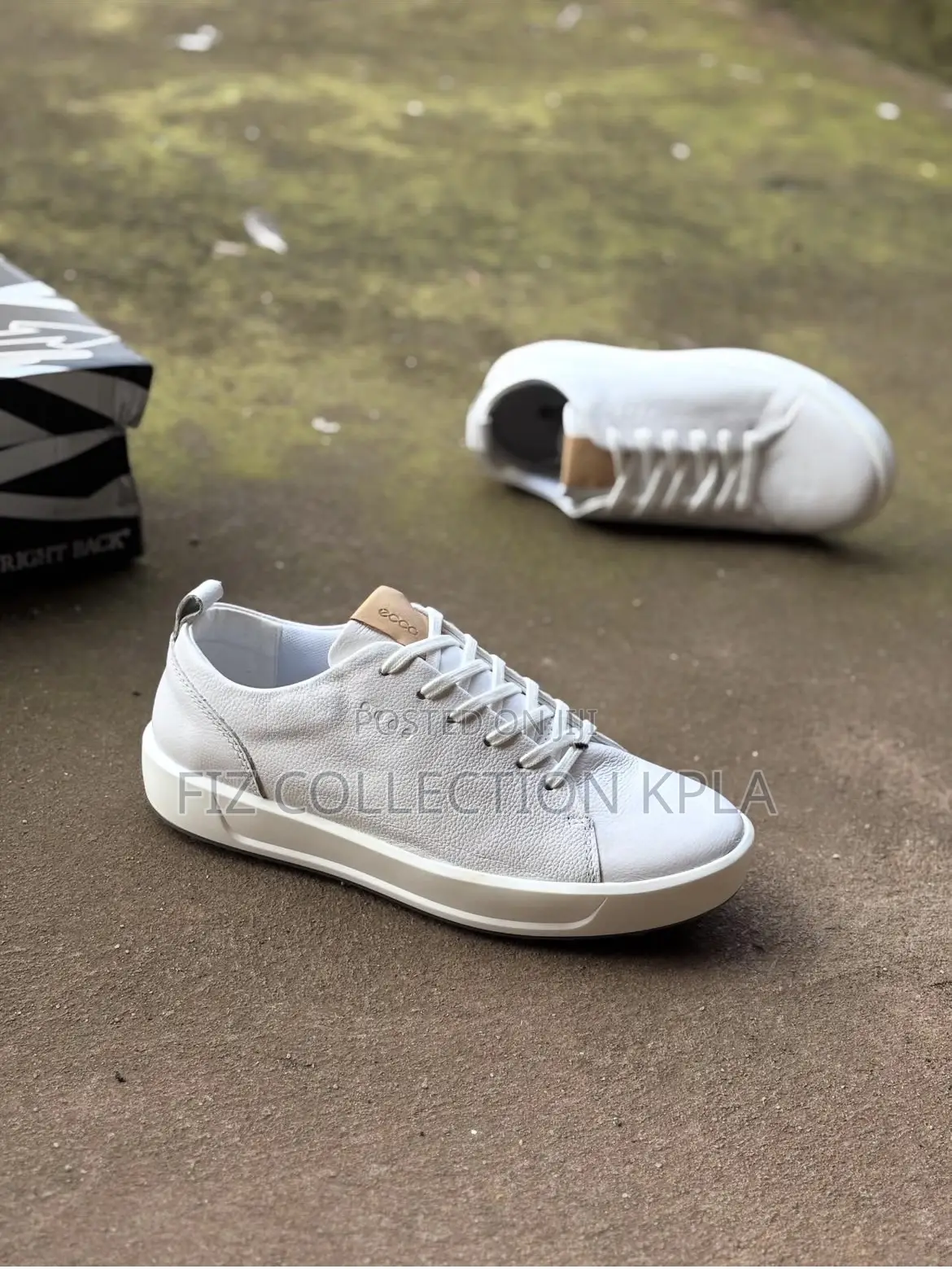 Ecco Sneaker