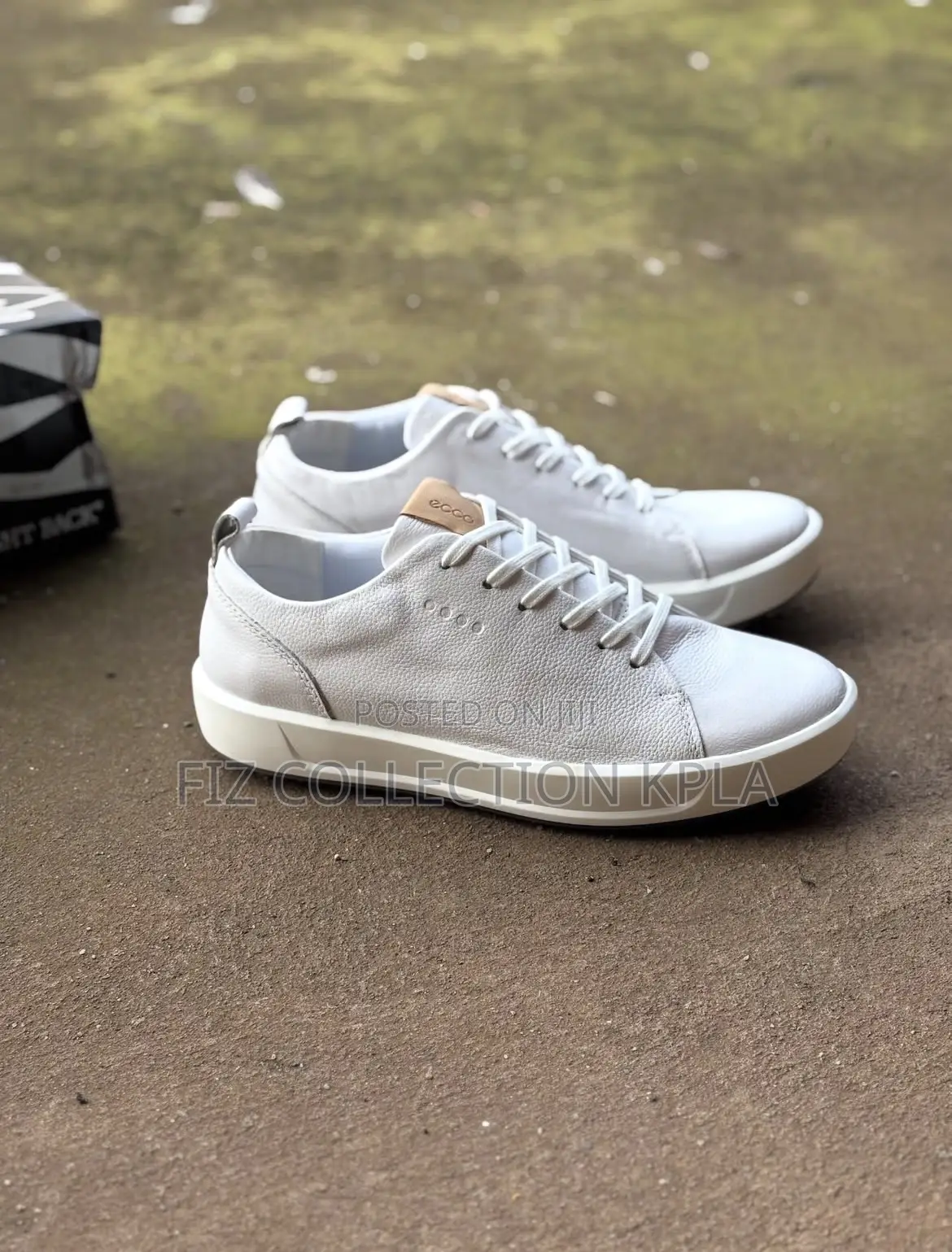 Ecco Sneaker
