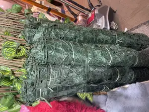 Wall Plants 3 Meters Long Each Pieces