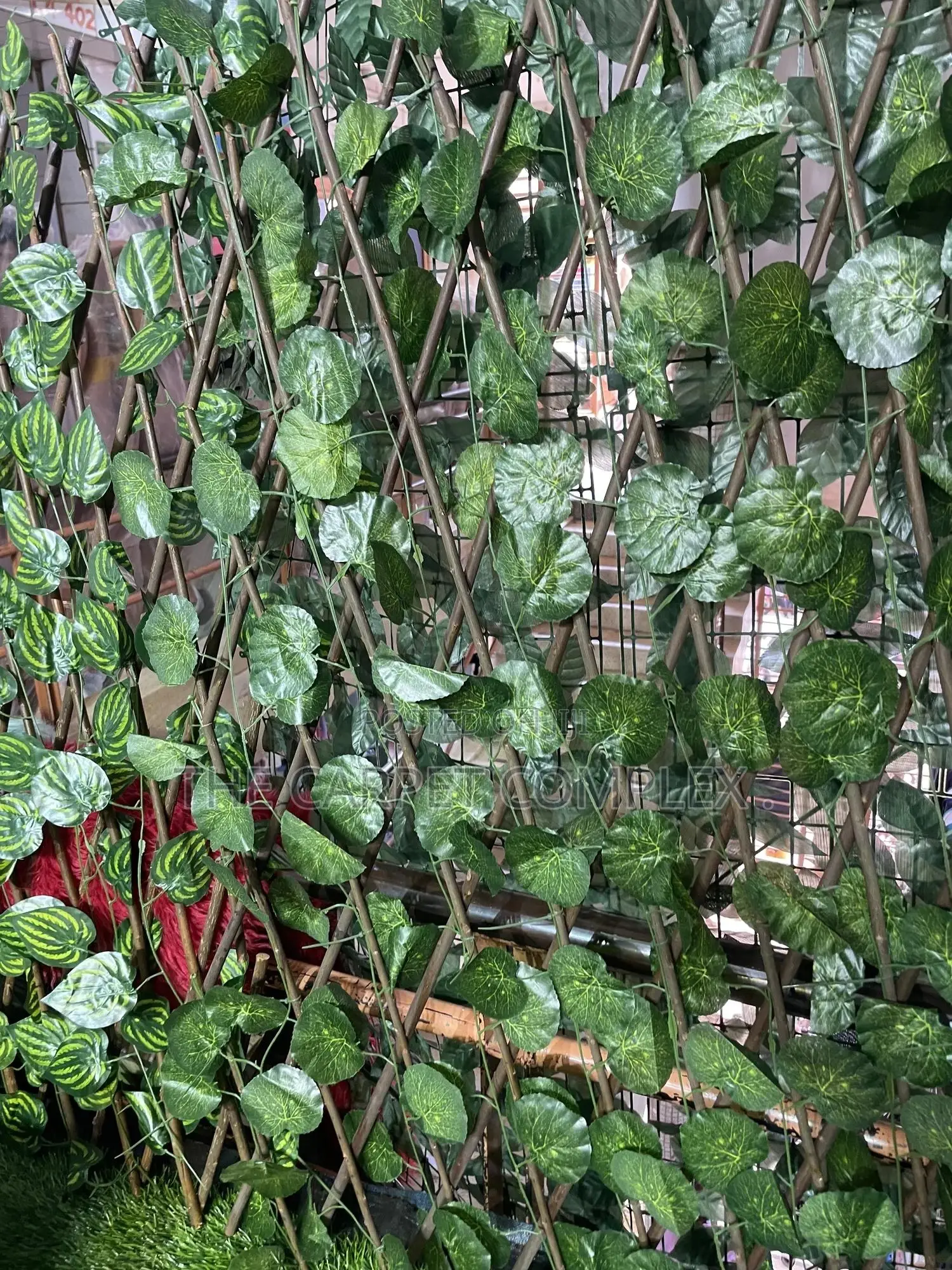 Balcony Privacy Plants Each