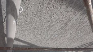 Texture Pasta Painting