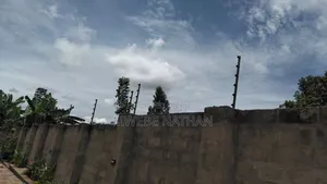 Electric Fence