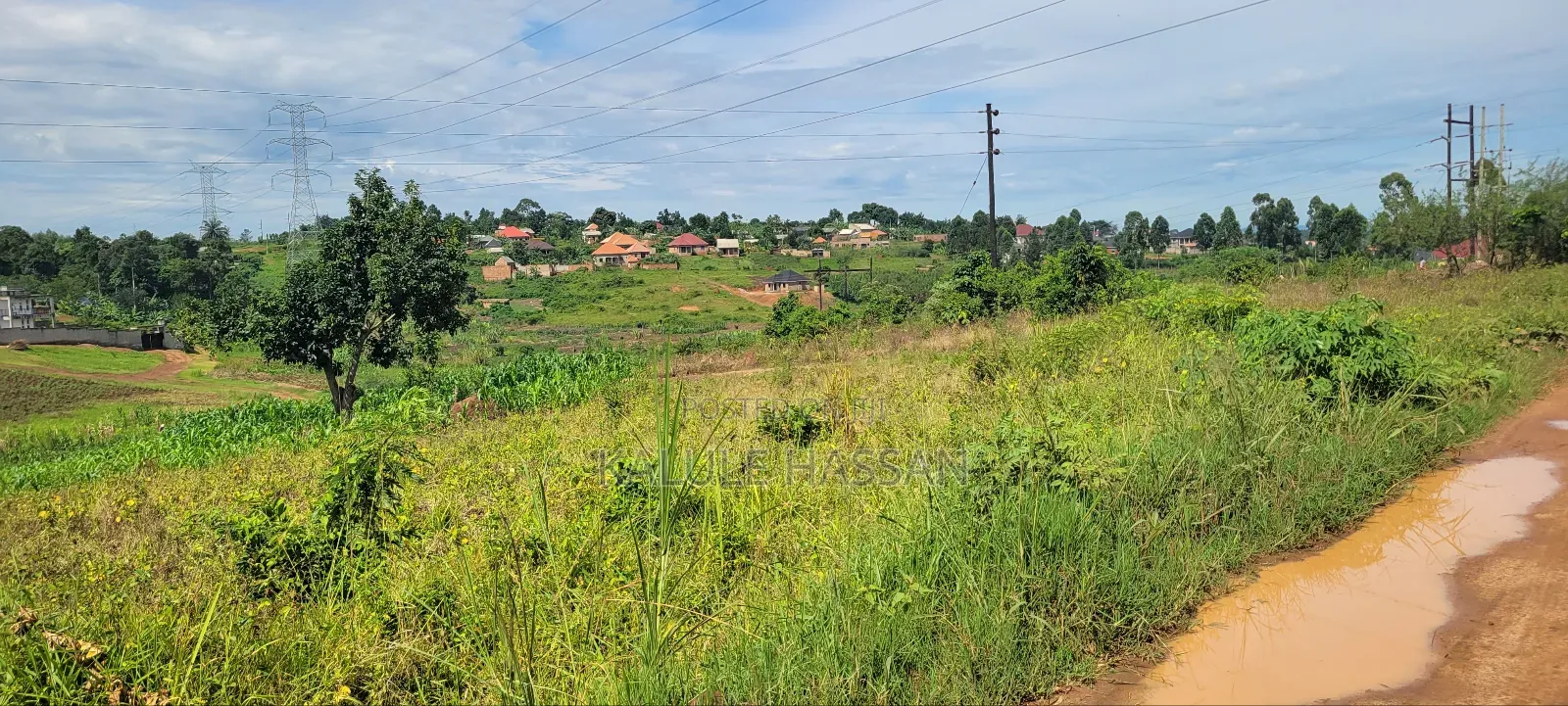 50 by 50 Plot at Kigoogwa
