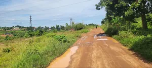 50 by 50 Plot at Kigoogwa