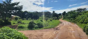 50 by 50 Plot at Kigoogwa